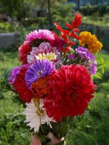 Ираклиевка(4).JPG