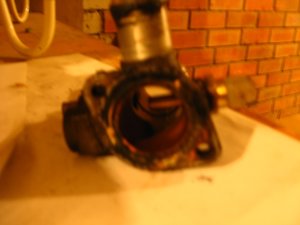 IMG_0160.jpg