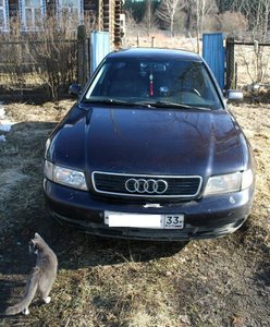 IMG_3671.jpg