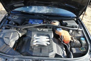 IMG_3674.jpg