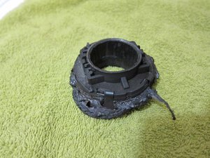 IMG_6799.jpg