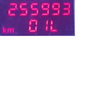 12345.JPG