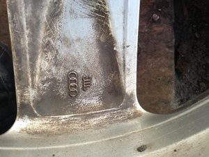 IMG_2479.jpg
