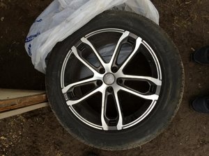 IMG_2478.jpg