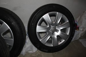 IMG_0298.jpg