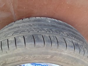 IMG_1905.jpg