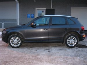 IMG_6139.jpg