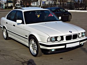 4880983_1_650.jpg