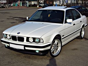 4880983_2_650.jpg