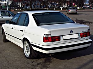 4880983_3_650.jpg