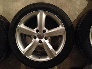 IMG_1469.jpg