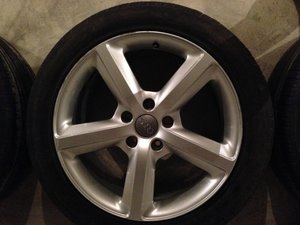 IMG_1470.jpg