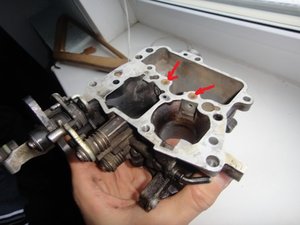 f3fd9eu-480.jpg