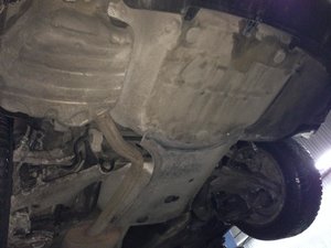 IMG_0239.jpg