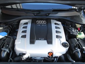 IMG_1291.jpg