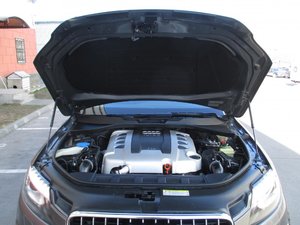 IMG_1294.jpg