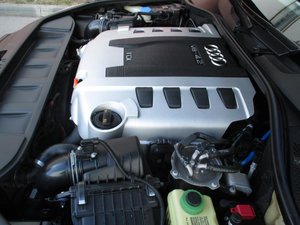 IMG_1292.jpg