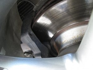 IMG_1313.jpg