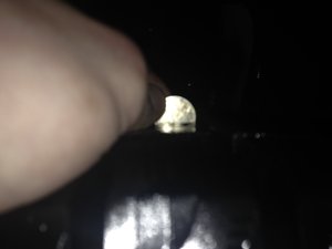 IMG_1460.JPG