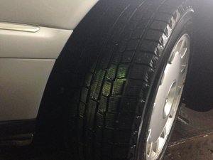 IMG_1461.JPG