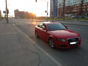 IMG_0254.jpg