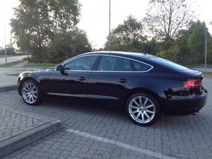 IMG_5828.jpg