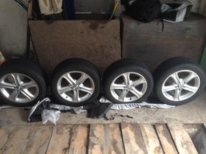 IMG_1230.jpg