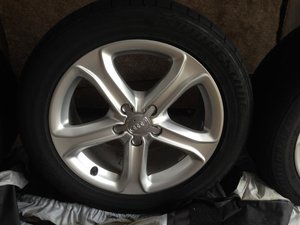 IMG_1233.jpg