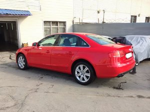 IMG_0497.jpg