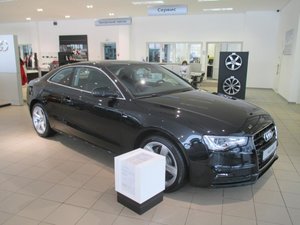 IMG_0815.jpg