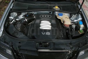 77614784.jpg