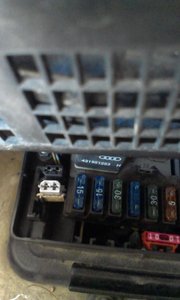 IMAG0310.jpg