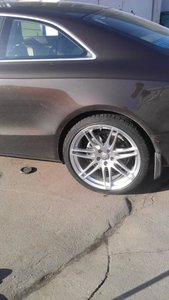 IMAG0705.jpg