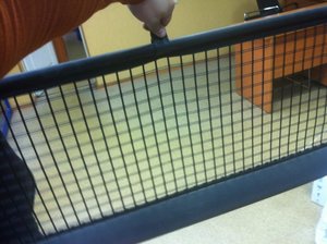 IMG_1999.jpg