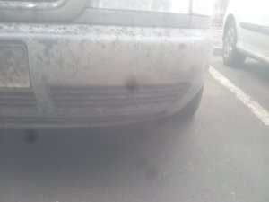 20140407_171756.jpg