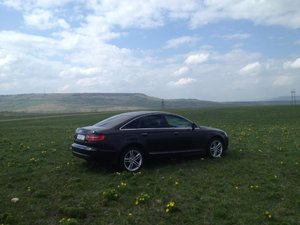 IMG_2129.jpg
