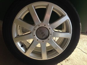 IMG_3856.jpg