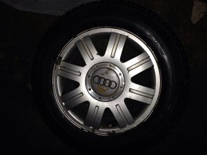 IMG_2480.jpg