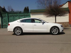 IMG_2195.jpg