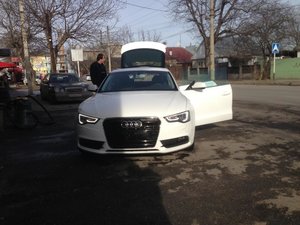 IMG_1667.jpg