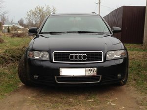 IMG_0897.jpg