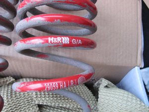 IMG_4447.jpg