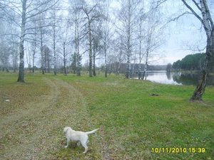 z_cf4948f1.jpg