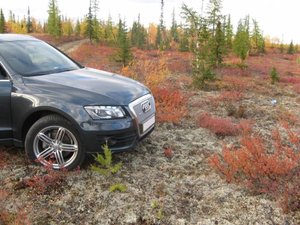 IMG_8034.jpg