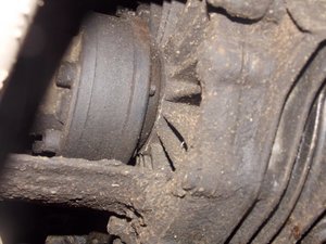 DSCN1846.jpg
