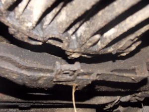 DSCN1849.jpg