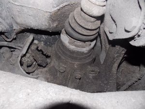 DSCN1854.jpg