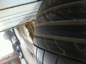 IMG_0180.jpg