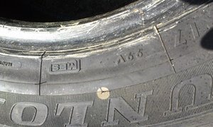 IMAG0142.jpg