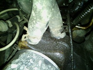 IMG_20140419_093114.jpg